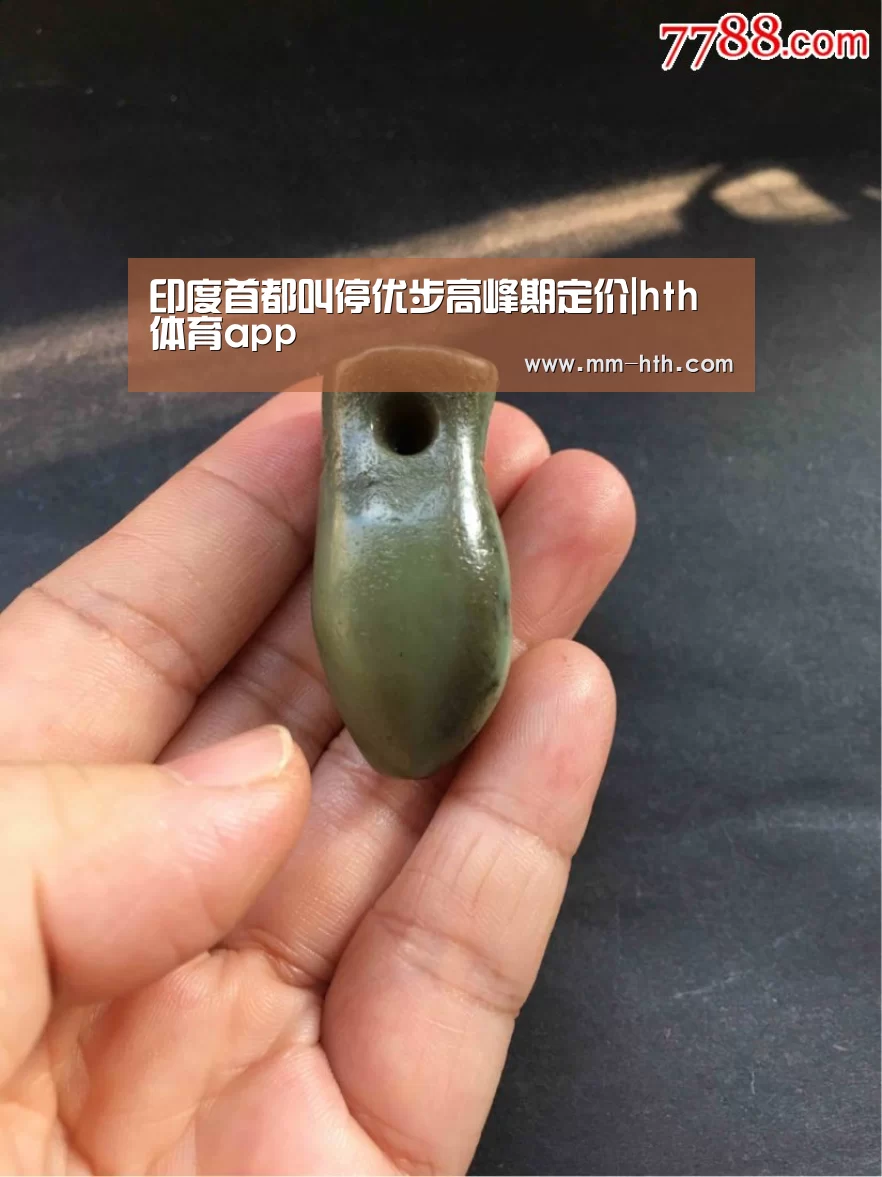 印度首都叫停优步高峰期定价|hth体育app