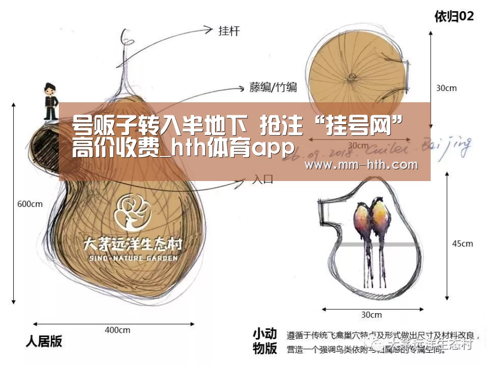 号贩子转入半地下 抢注“挂号网”高价收费_hth体育app(图3) hth体育官网